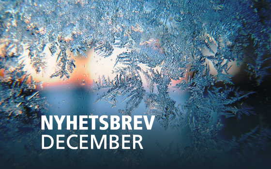 NYHETSBREV DECEMBER